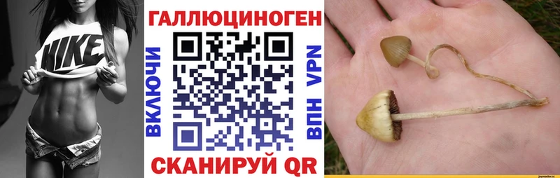 Псилоцибиновые грибы Psilocybe  Симферополь 